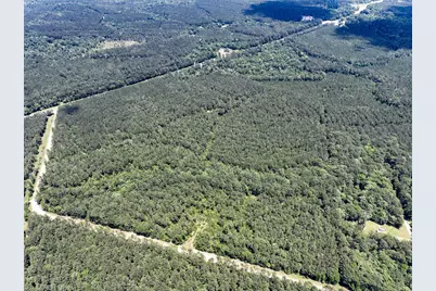 05 Highway 190, Oakhurst, TX 77359 - Photo 4