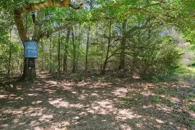 24718 Squirrel Road, New Ulm, TX 78950 - Photo 8