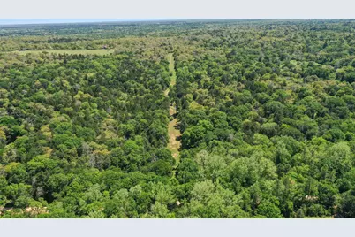 24718 Squirrel Road, New Ulm, TX 78950 - Photo 26