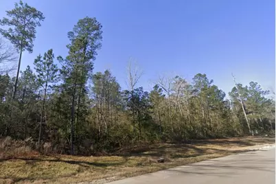 152 Exploration Road, New Waverly, TX 77358 - Photo 4