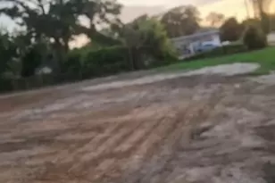 6110 Tidwell Rd, Houston, TX 77016 - Photo 4