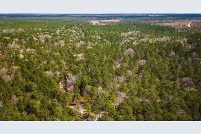 Tbd Tract 5 Triple Creek Loop, Livingston, TX 77351 - Photo 2