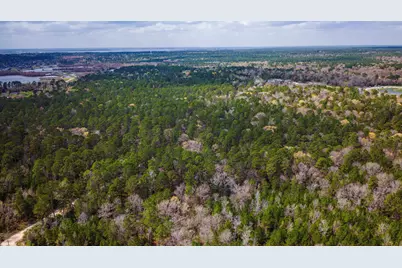 Tbd Tract 5 Triple Creek Loop, Livingston, TX 77351 - Photo 12