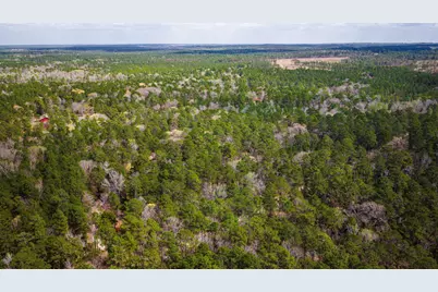 Tbd Tract 5 Triple Creek Loop, Livingston, TX 77351 - Photo 4