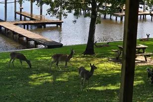 616 Marina Rd A East, Crockett, TX 75835 - Photo 6