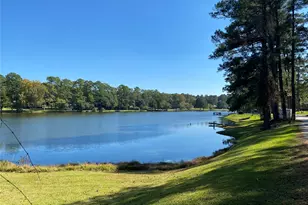 1441 Chapparal Rd, Montgomery, TX 77316 - Photo 44