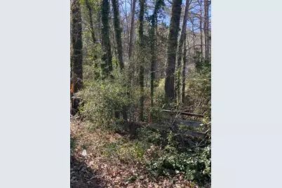 1325 Fm 2497, Diboll, TX 75941 - Photo 4