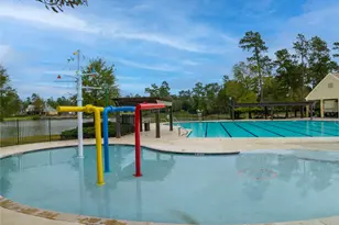 4227 Maple Rapids Ln, Spring, TX 77386 - Photo 10