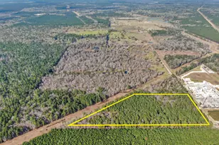 00 Pelican Rd, Shepherd, TX 77371 - Photo 1