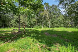 7603 Timber Switch Rd, Cleveland, TX 77328 - Photo 42