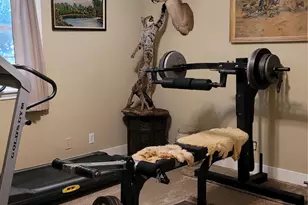 28302 Piney Corners, Waller, TX 77484 - Photo 36