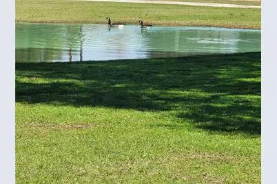 28302 Piney Corners, Waller, TX 77484 - Photo 6