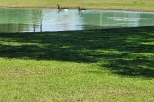 28302 Piney Corners, Waller, TX 77484 - Photo 6