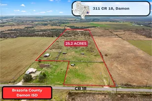 311 County Rd 18, Damon, TX 77430 - Photo 1