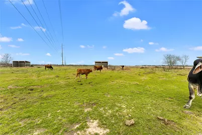 311 County Road 18, Damon, TX 77430 - Photo 14