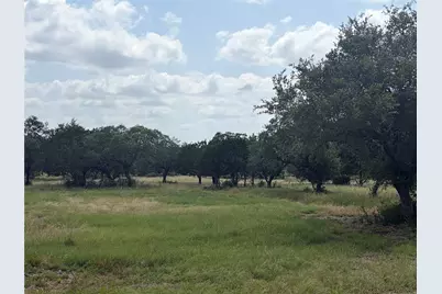 336 River Cliff Place, Spring Branch, TX 78070 - Photo 10