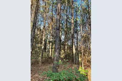 0 S Wheeler, Colmesneil, TX 75938 - Photo 2