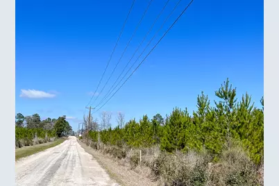 01 Wallace, Huntsville, TX 77320 - Photo 4