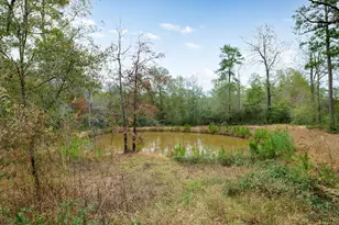 23506 High Meadow Estates Dr, Montgomery, TX 77316 - Photo 6