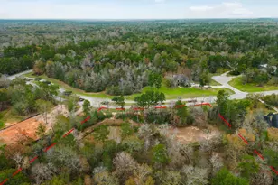 23506 High Meadow Estates Dr, Montgomery, TX 77316 - Photo 8