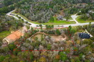 23506 High Meadow Estates Dr, Montgomery, TX 77316 - Photo 2