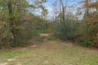 23506 High Meadow Estates Drive, Montgomery, TX 77316 - Photo 10