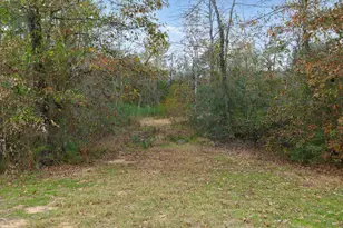 23506 High Meadow Estates Dr, Montgomery, TX 77316 - Photo 10