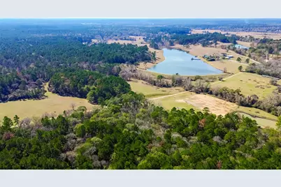 11560 County Road 203, Plantersville, TX 77363 - Photo 8