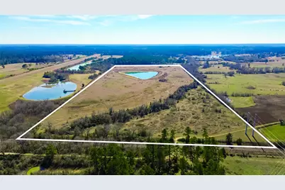 11560 County Road 203, Plantersville, TX 77363 - Photo 12