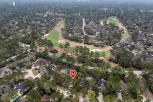 58 Candle Pine Pl, The Woodlands, TX 77381 - Photo 50