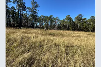 064 Private Road 6026 Tract 1-64, Brookeland, TX 75931 - Photo 1