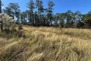 064 Private Road 6026 Tract 1-64, Brookeland, TX 75931 - Photo 4