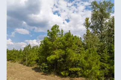 572 Robertson Road, Lovelady, TX 75851 - Photo 10