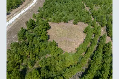 572 Robertson Road, Lovelady, TX 75851 - Photo 8