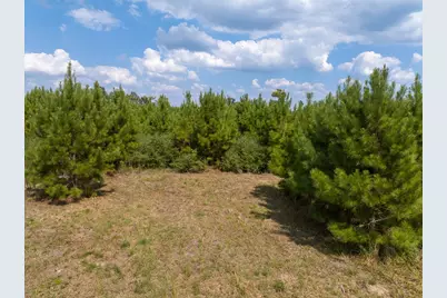 572 Robertson Road, Lovelady, TX 75851 - Photo 12