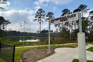 14910 Slough View Ct, Magnolia, TX 77354 - Photo 34