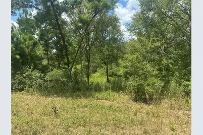 00 County Road 322, Jewett, TX 75846 - Photo 6