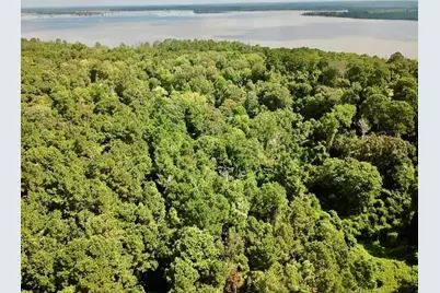 11.5 Acs Fm 92 S, Woodville, TX 75979 - Photo 8