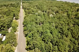 11 5 Acs Fm 92 S, Woodville, TX 75979 - Photo 1