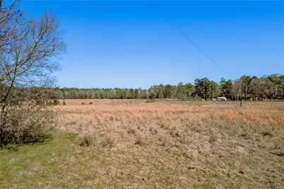 1533 Kickapoo Road, Groveton, TX 75845 - Photo 42