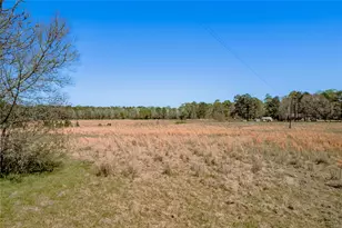 1533 Kickapoo Rd, Groveton, TX 75845 - Photo 42