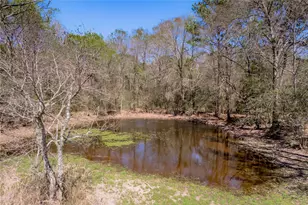 1533 Kickapoo Rd, Groveton, TX 75845 - Photo 38