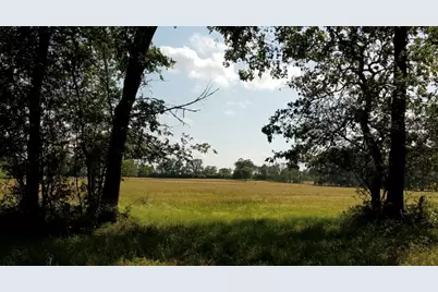 1533 Kickapoo Road, Groveton, TX 75845 - Photo 30