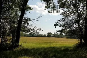 1533 Kickapoo Rd, Groveton, TX 75845 - Photo 30