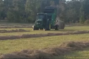 1533 Kickapoo Rd, Groveton, TX 75845 - Photo 50