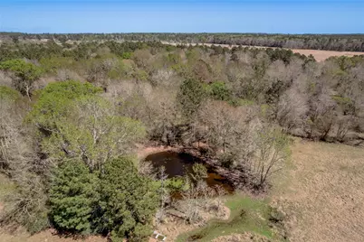 1533 Kickapoo Road, Groveton, TX 75845 - Photo 38