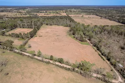 1533 Kickapoo Road, Groveton, TX 75845 - Photo 2