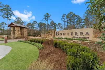 305 Royal Lily Trail, Montgomery, TX 77316 - Photo 32