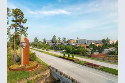 334 Wild Fork Court, Conroe, TX 77304 - Photo 14