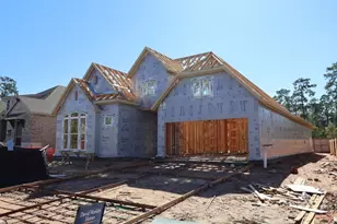 334 Wild Frk Ct, Conroe, TX 77304 - Photo 10